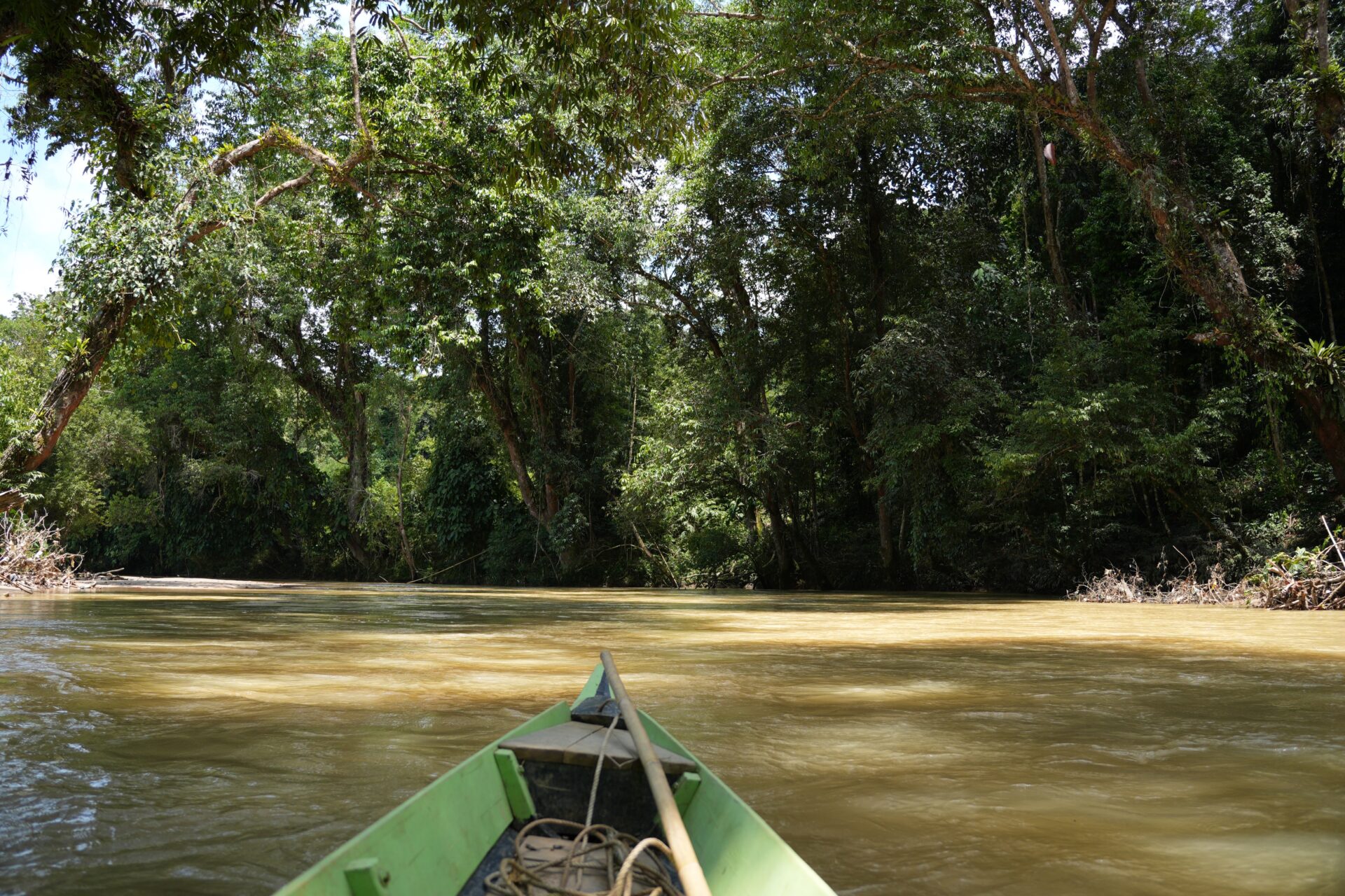 Exploring the indigenous Semai’s enduring connection with cultivation, proverbs, and worldview